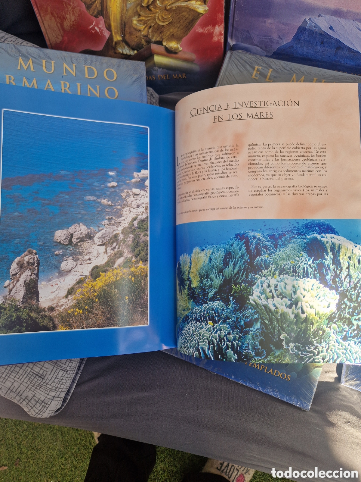 Libros: Libros y DVDs mundo submarino - Foto 6