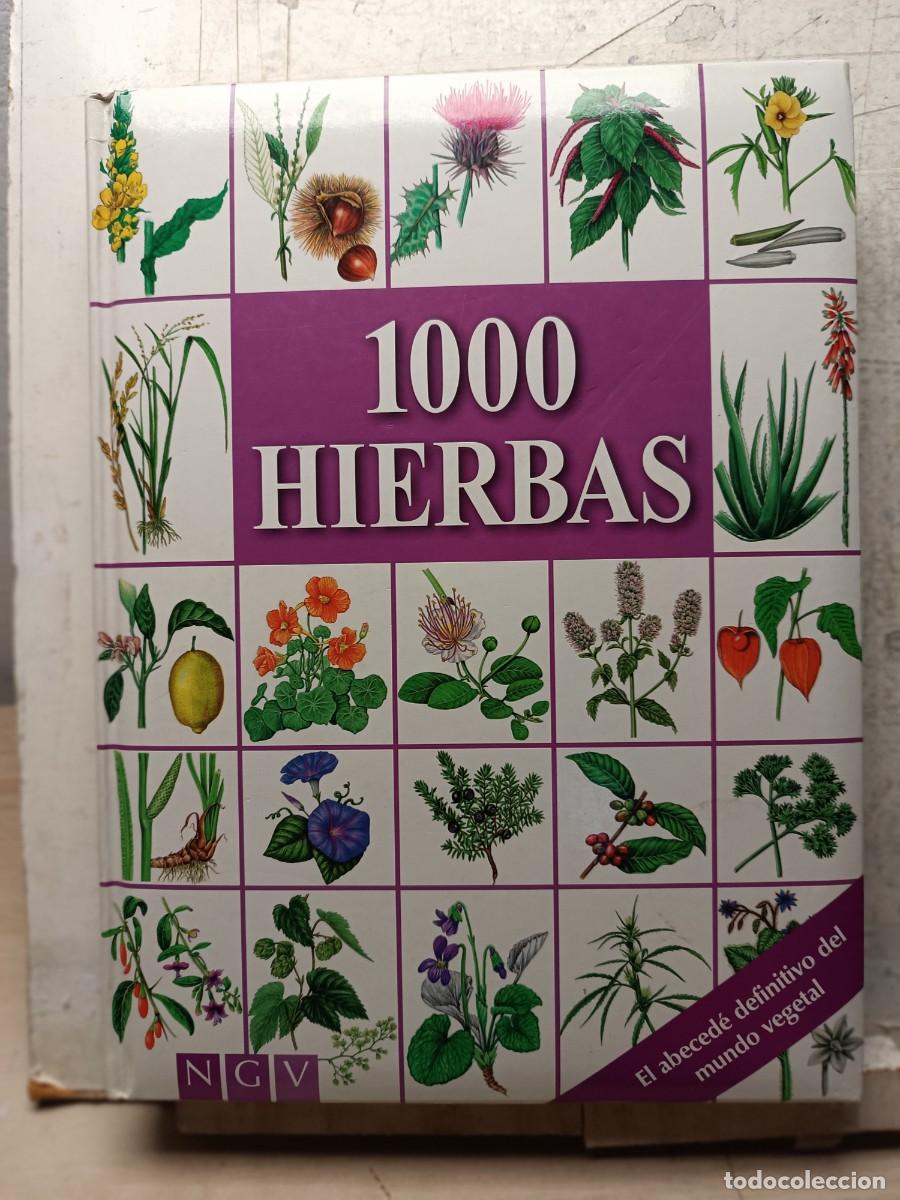 Libros: 1000 Hierbas Tapa dura 2004 - Foto 1