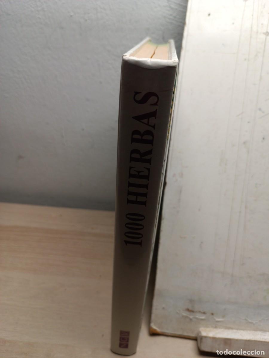Libros: 1000 Hierbas Tapa dura 2004 - Foto 2