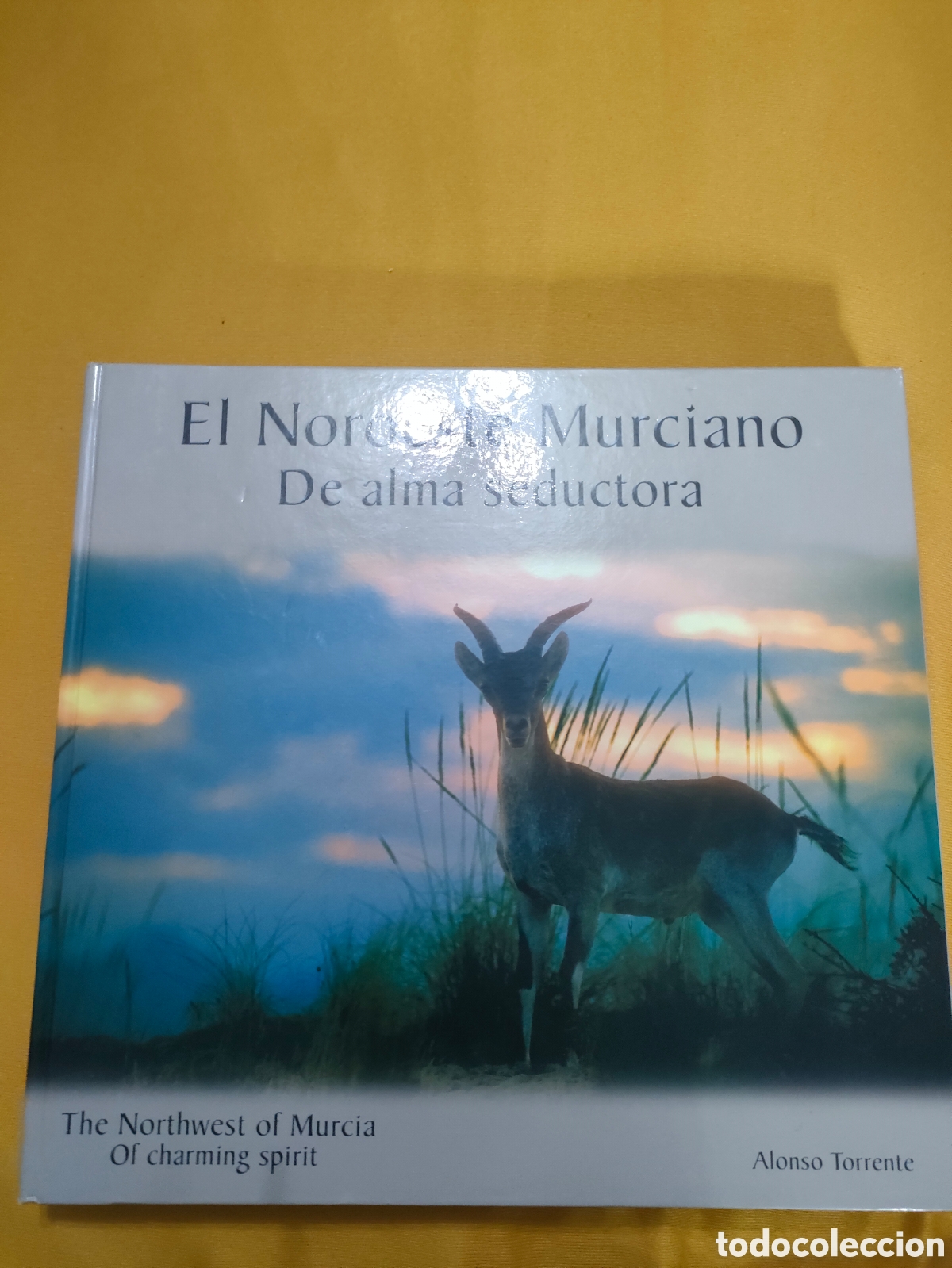 Libros: Libro el noroeste murciano a&ntilde;o 2005