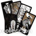 Libros: Witchs Tarot: Authentic Wicca Cards Based on the Wheel of the Year (78 Cards and 128-Page