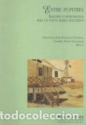 Libros: ENTRE PUPITRES.RAZONES E INSTRUMENTOS PA - TRAVE GONZALEZ,GABRIEL