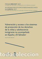 Libros: Vulneraci&oacute;n y acceso a los sistemas de protecci&oacute;n de los derechos de la ni&ntilde;ez y adolescencia