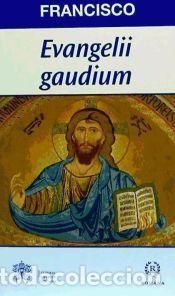 Libros: Evangelii Gaudium - Francisco I, Papa