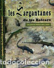 Libros: Les sargantanes de les balears - P&eacute;rez Mellado, Valent&iacute;n