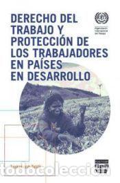 Libros: DERECHO DEL TRABAJO Y PROTECCI&Oacute;N DE LOS TRABAJADORES EN PA&Iacute;SES EN DESARROLLO - Tzehainesh Tekl&egrave;