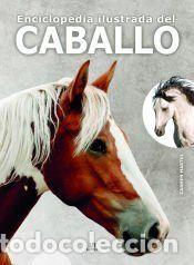 Libros: Enciclopedia Ilustrada del Caballo - Martul Hern&aacute;ndez, Carmen