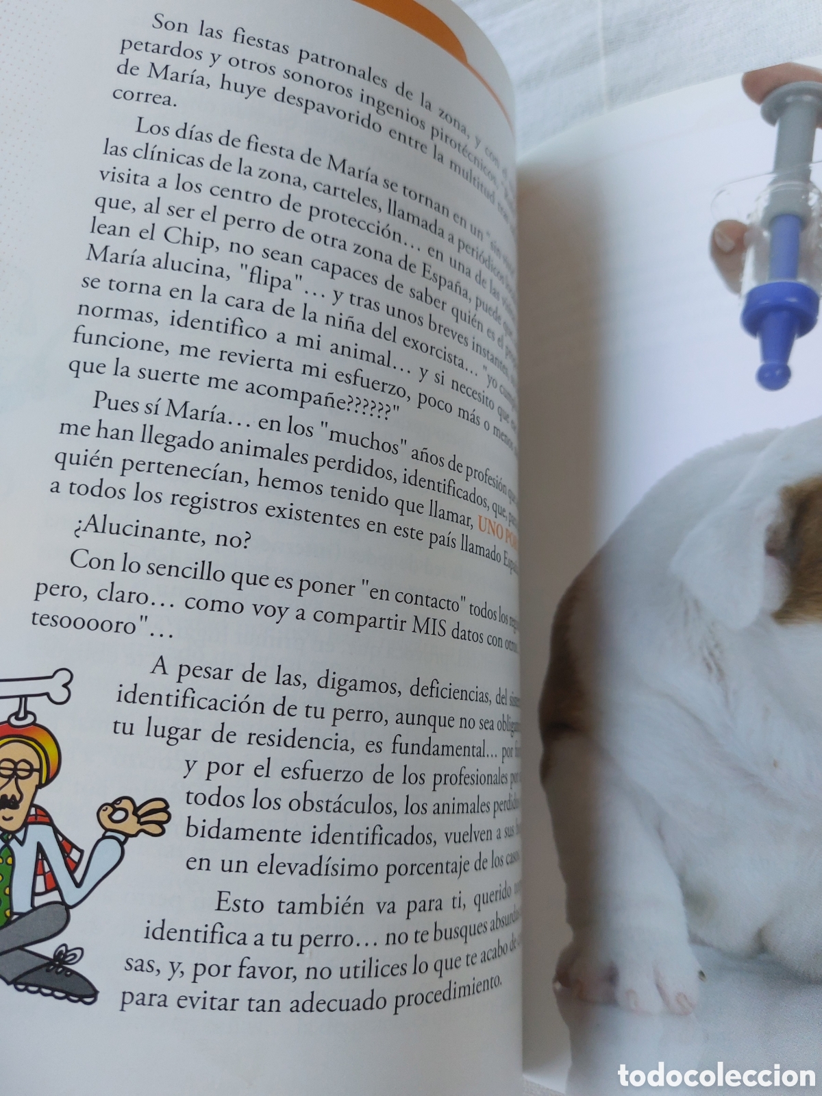 Libros: Cosas de perros. Carlos Rodr&iacute;guez - Foto 4