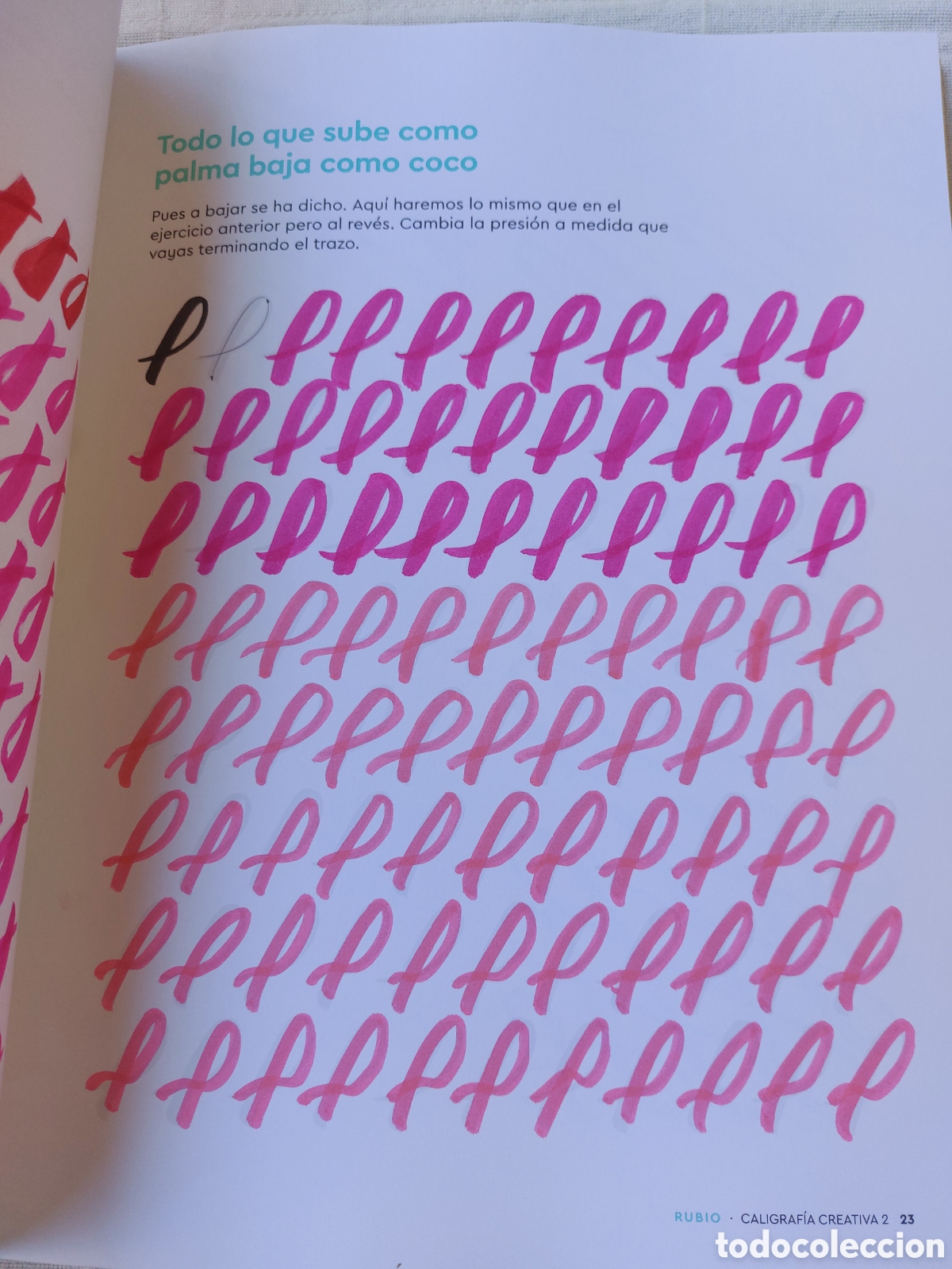 Libros: Caligraf&iacute;a creativa de Rubio - Foto 5