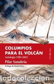 Libros: Columpios para el volc&aacute;n - Pilar Sanabria Ca&ntilde;ete