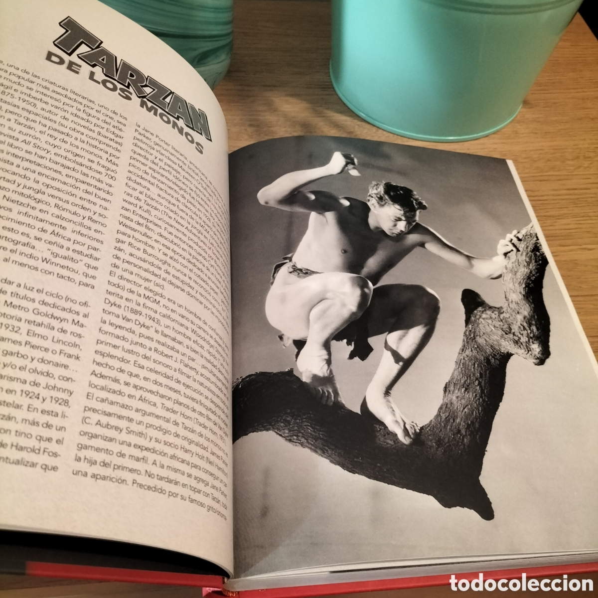 Libros: EL CINE DE AVENTURAS - NOTORIUS EDICIONES - COMPLETAMENTE NUEVO - Foto 6