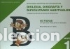 Libri: Dificultades espec&iacute;ficas de lectoescritura : dislexia, disgraf&iacute;a y dificultades habituales : nivel