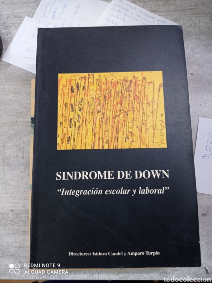 Libros: S&iacute;ndrome de down - integraci&oacute;n escolar y laboral - Foto 1