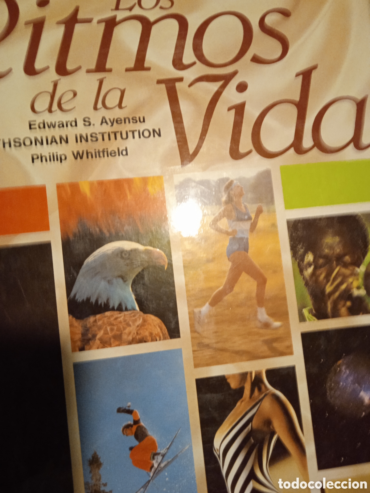 Libros: Los ritmos de la vida - Foto 1