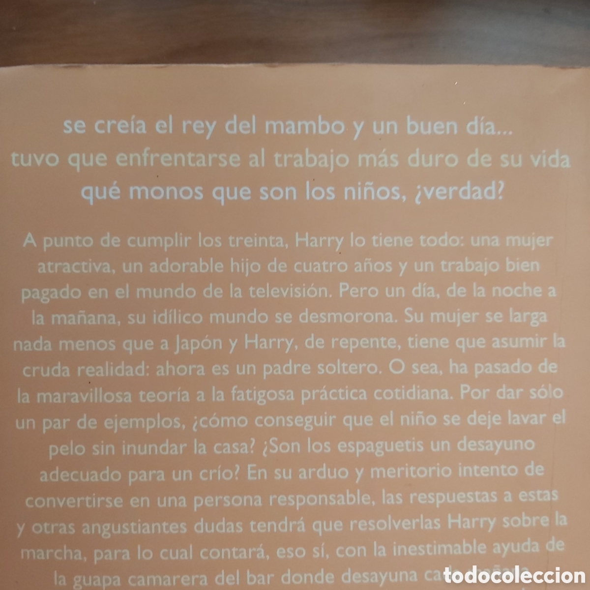 Libros: SOCORRO SOY PADRE! - Foto 3