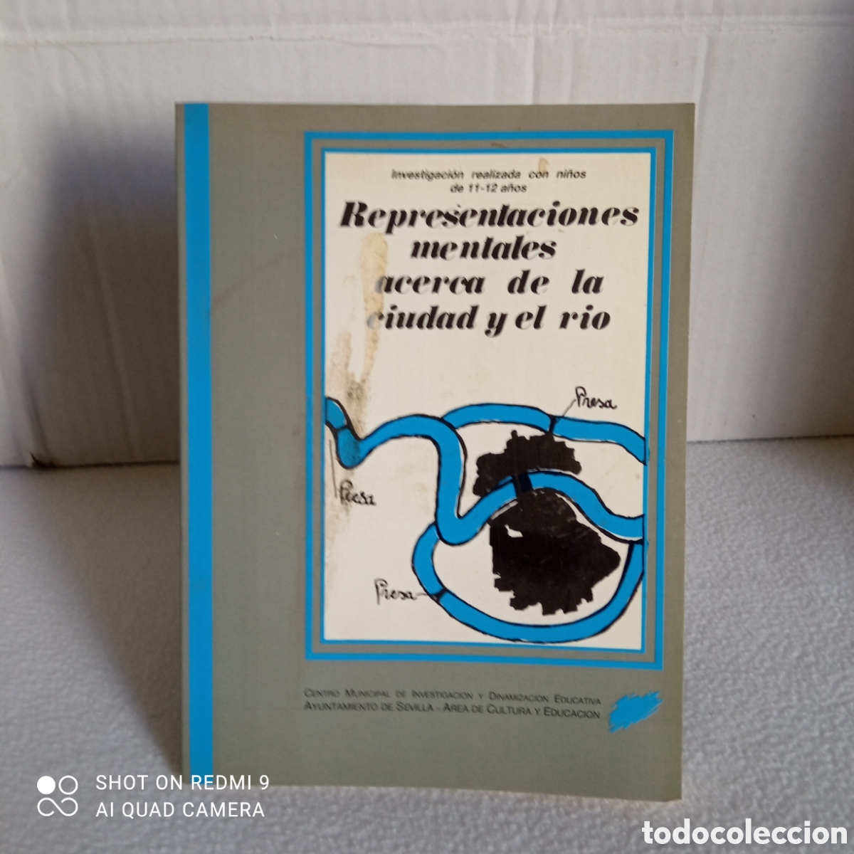 Libros: Representaciones mentales acerca de la cuidad y el rio. - Foto 1