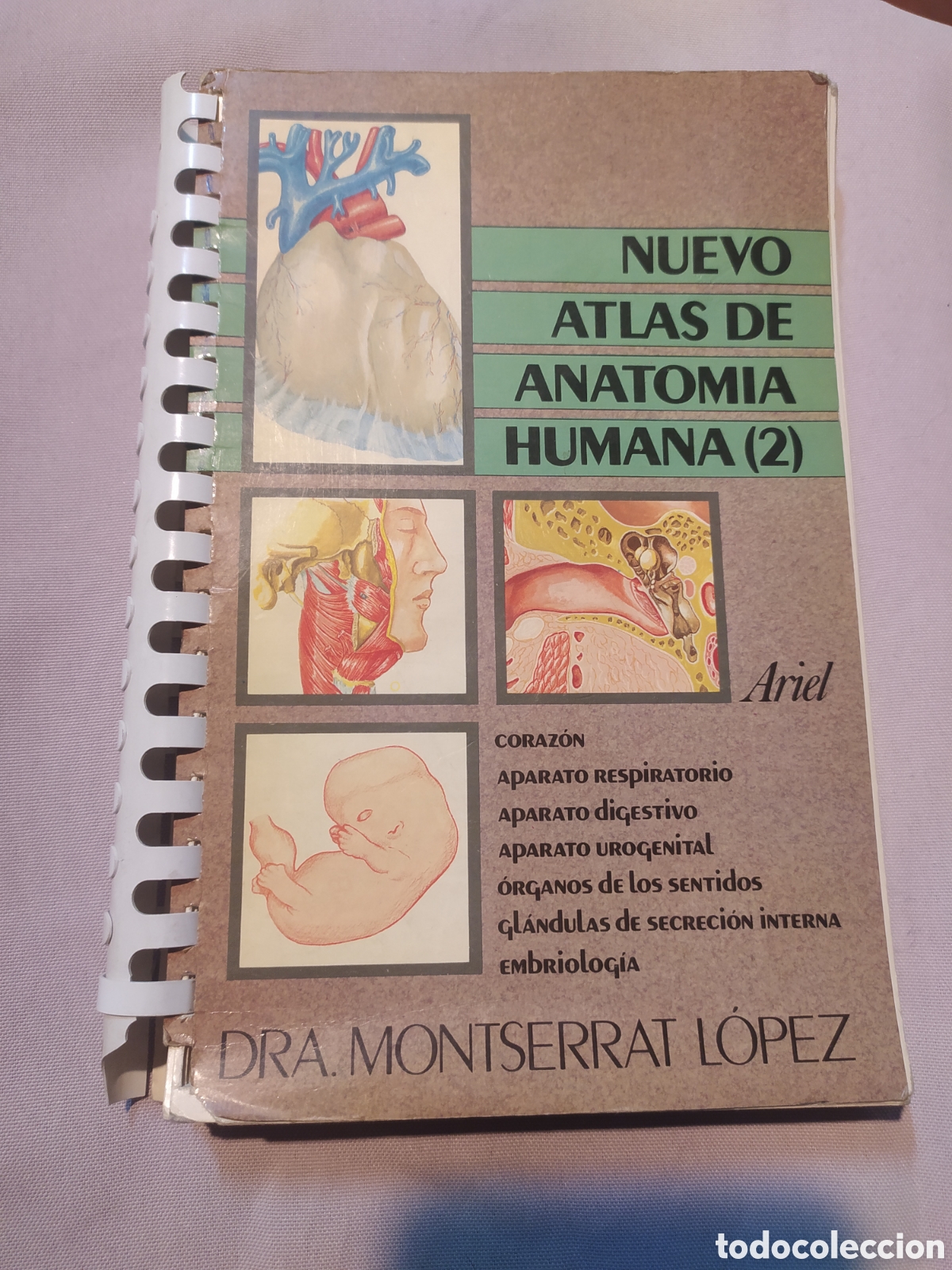 Libros: Atlas Anatom&iacute;a Humana - Foto 1