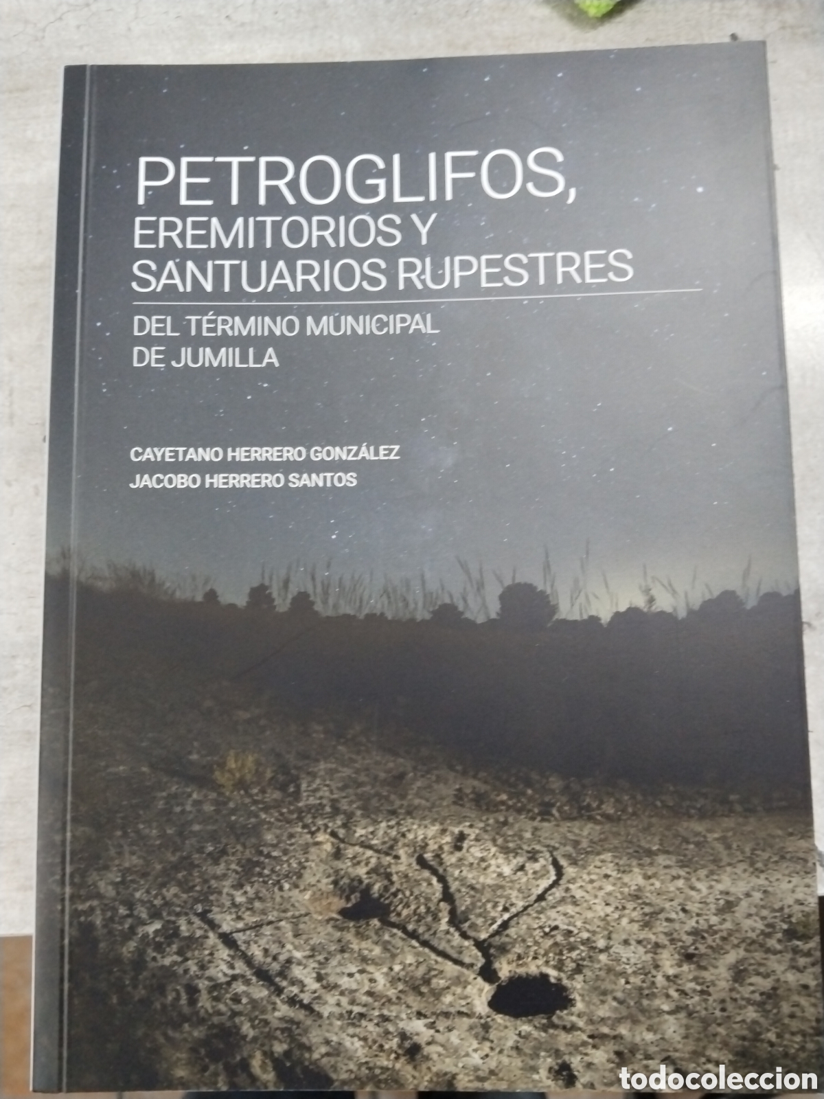 Libros: Petroglifos eremitorios y santuarios rupestres del t&eacute;rmino municipal de Jumilla