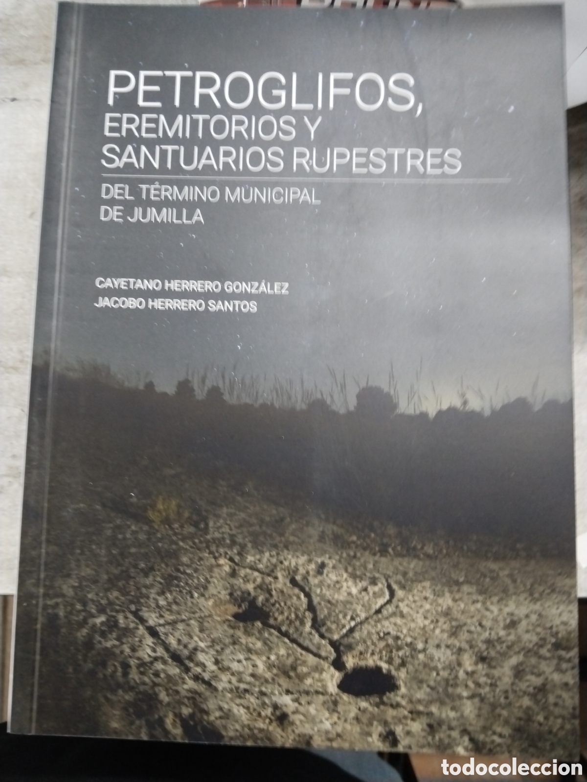 Libros: petroglifos eremitorios y santuarios rupestres del t&eacute;rmino municipal de Jumilla caye