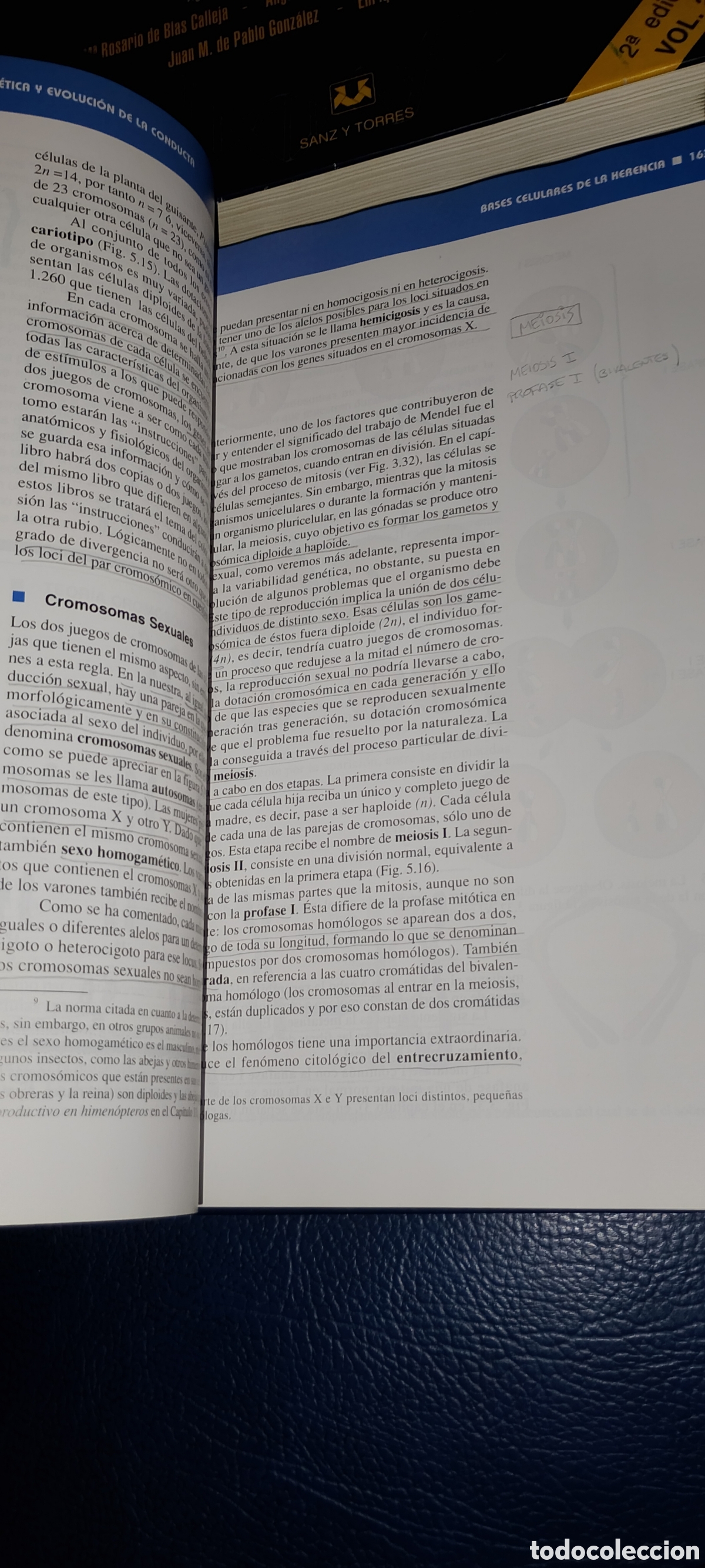 Libros: Fundamentos biol&oacute;gicos de la conducta - Foto 2