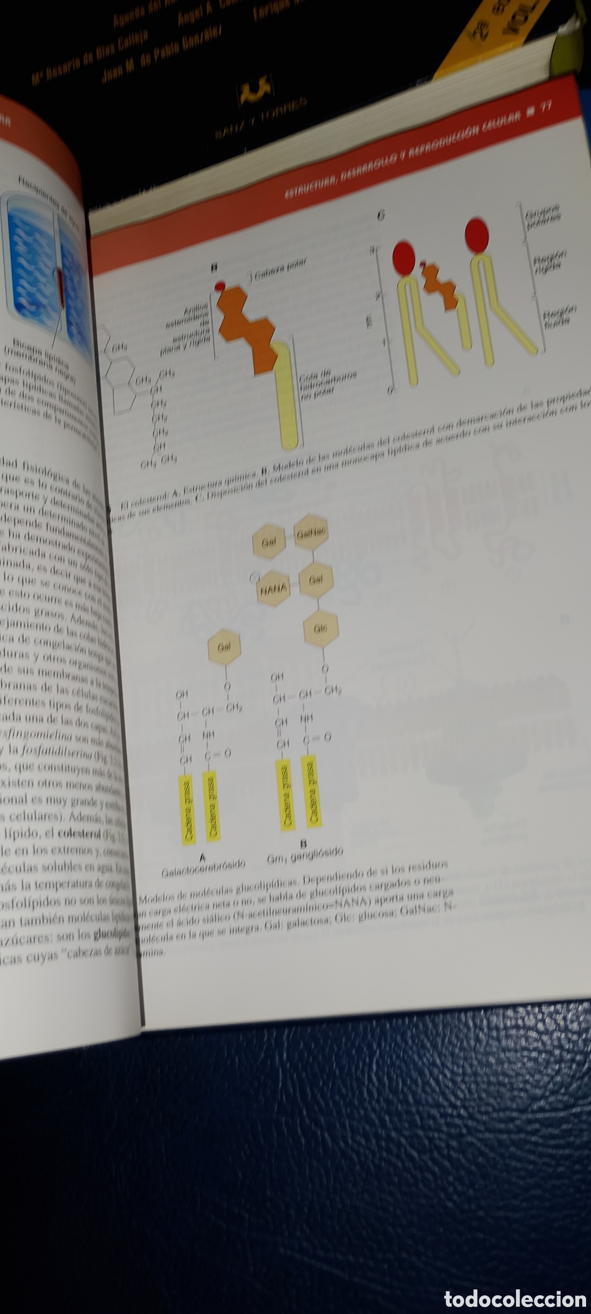 Libros: Fundamentos biol&oacute;gicos de la conducta - Foto 3
