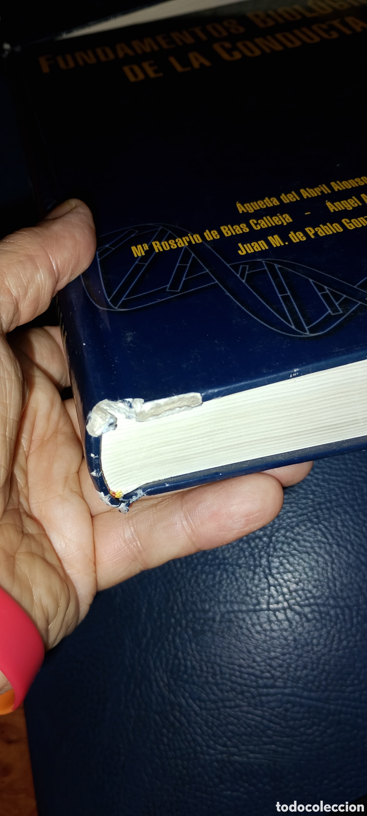 Libros: Fundamentos biol&oacute;gicos de la conducta - Foto 4