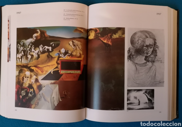 Libros: DAL&Iacute; - LA OBRA PICT&Oacute;RICA - - Foto 2