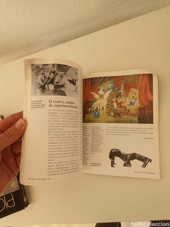 Libros: Libro de picasso - Foto 4