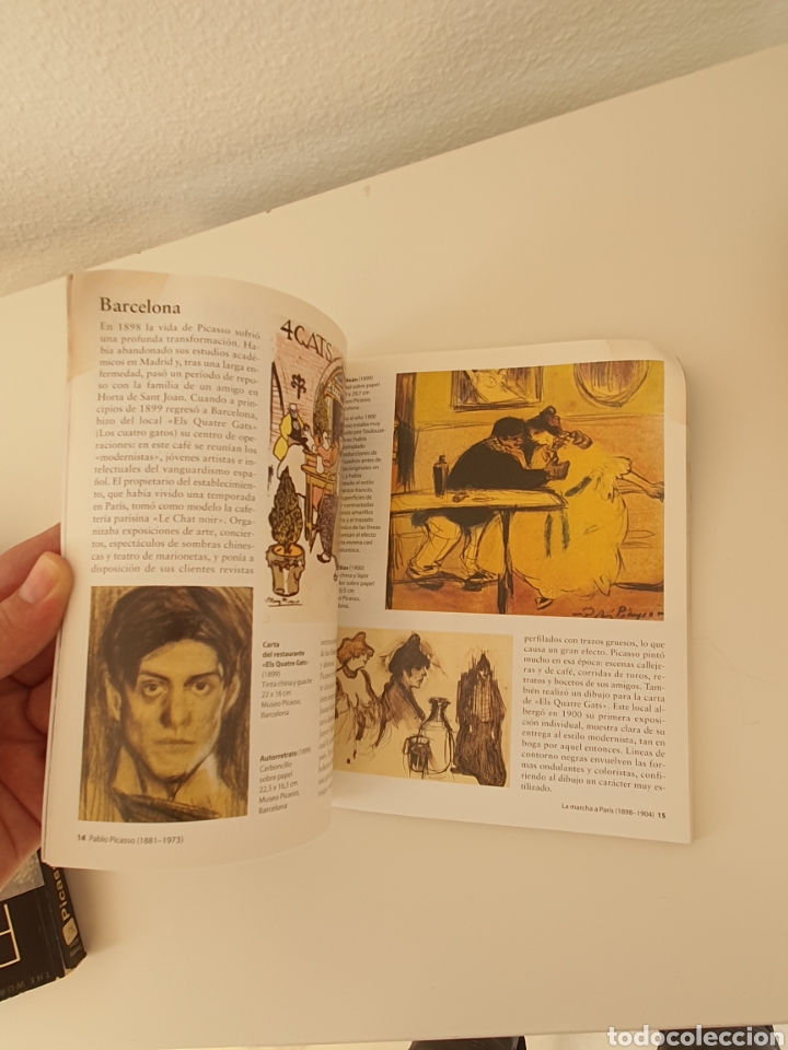 Libros: Libro de picasso - Foto 7