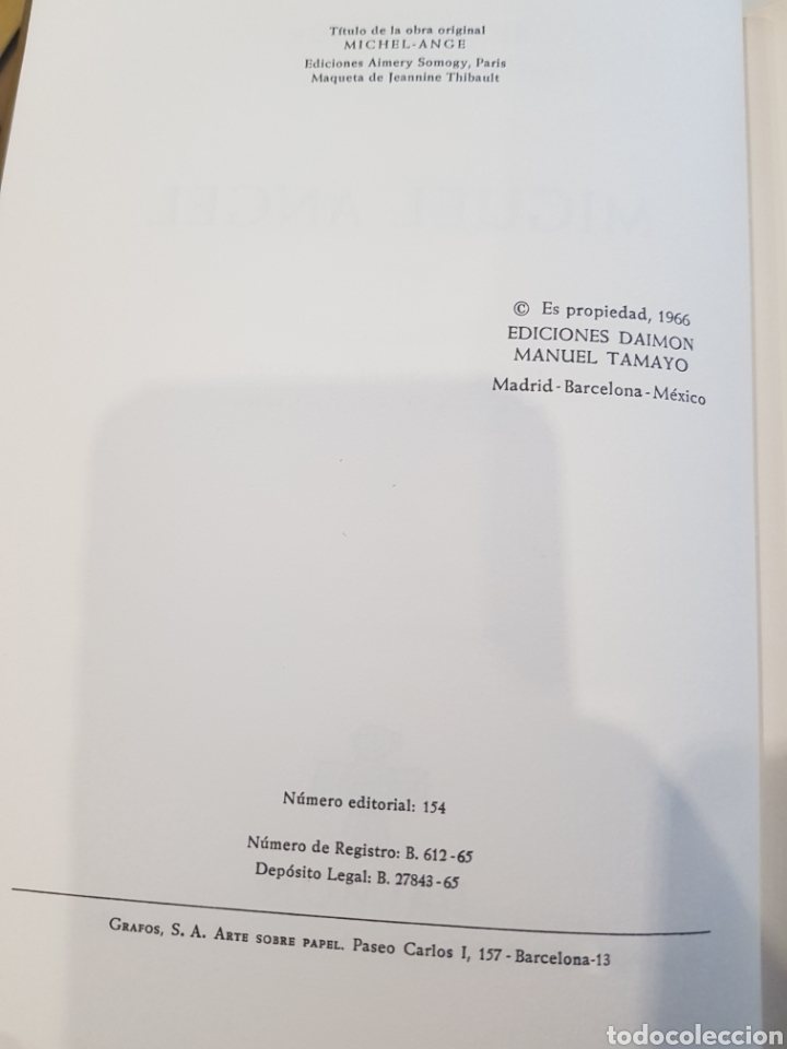 Libros: Miguel &Aacute;ngel, Daimon , 1966 - Foto 2