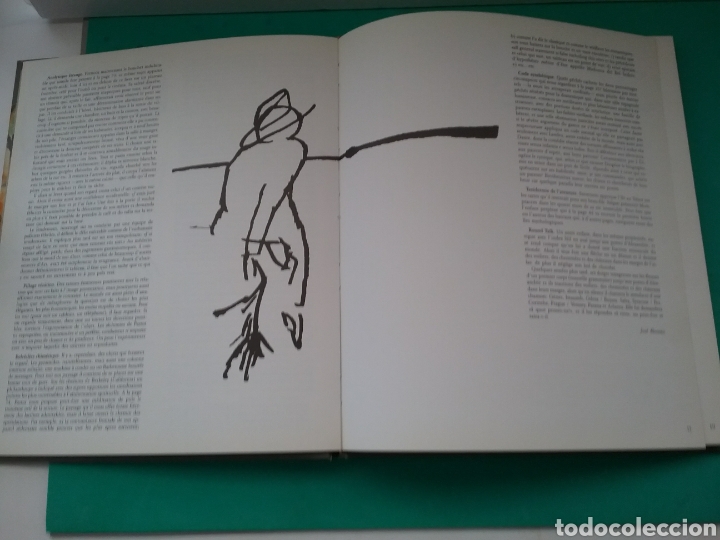 Libros: Perico Pastor. Mama- graf. - Foto 2