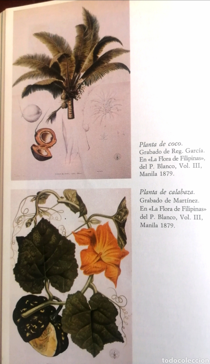 Libros: Catay. El Sue&ntilde;o de Col&oacute;n - Foto 6