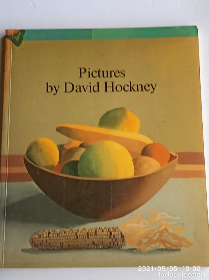 Libros: Pinturas de David Hockney - Foto 1