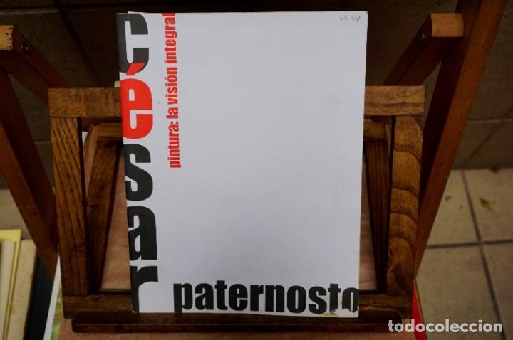 Libros: CESARPATERNOSTO,pintura. la vision integral. - Foto 1