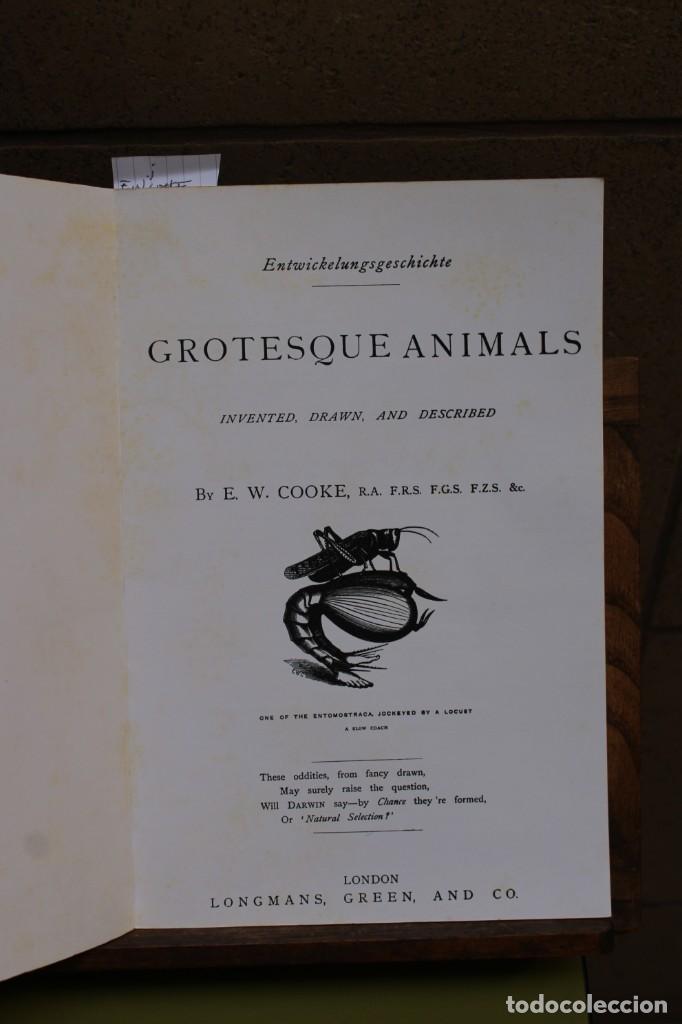 Libros: E.W.Cooke.Grotesque animals. - Foto 1