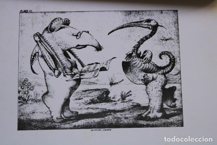 Libros: E.W.Cooke.Grotesque animals. - Foto 2