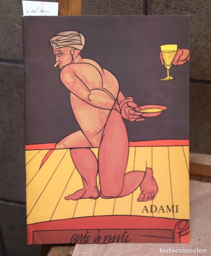 Libros: ADAMI.Pinturas . le bot marc. - Foto 1