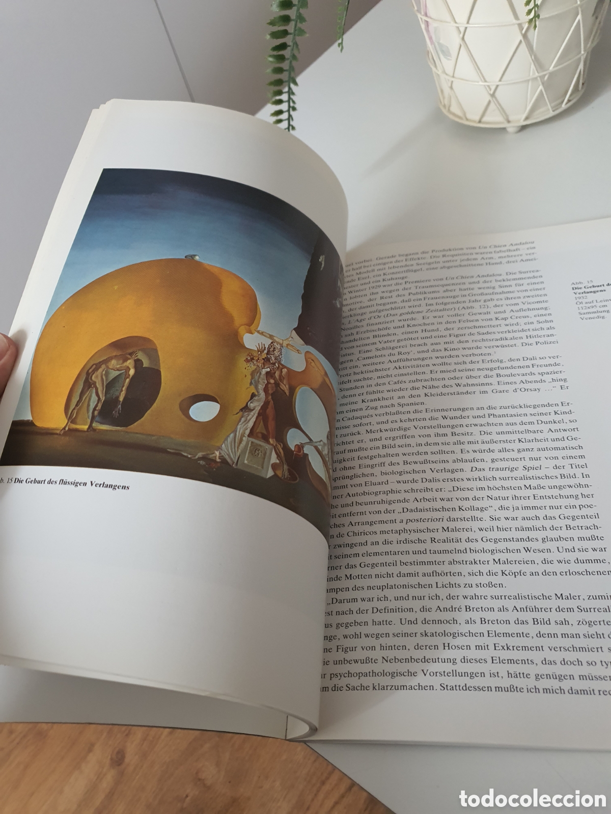 Libros: libro del pintor dali en alem&aacute;n. - Foto 4