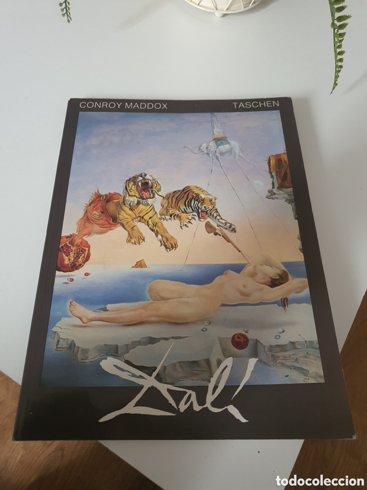 Libros: libro del pintor dali en alem&aacute;n. - Foto 1