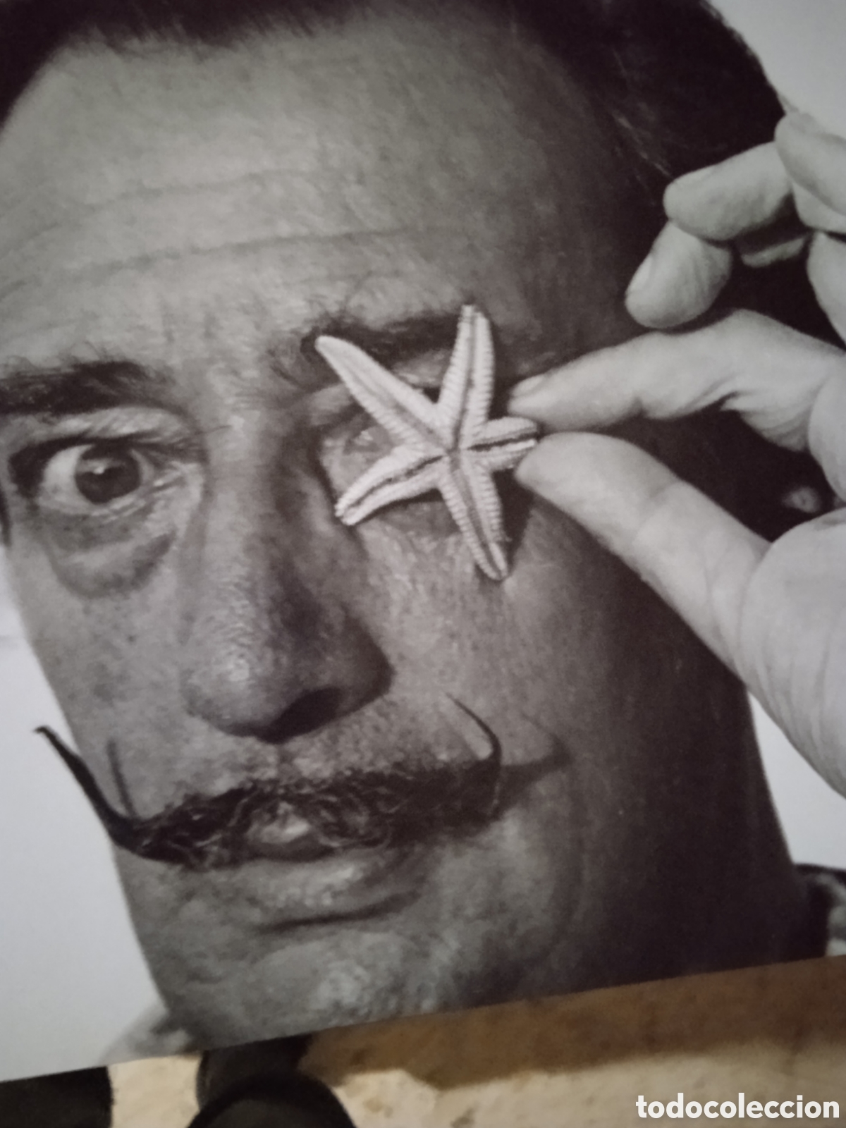 Libros: Dal&iacute;.19042004 - Foto 1