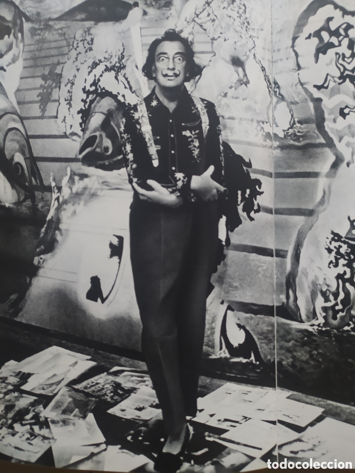 Libros: Dal&iacute; de Draeger - Foto 3