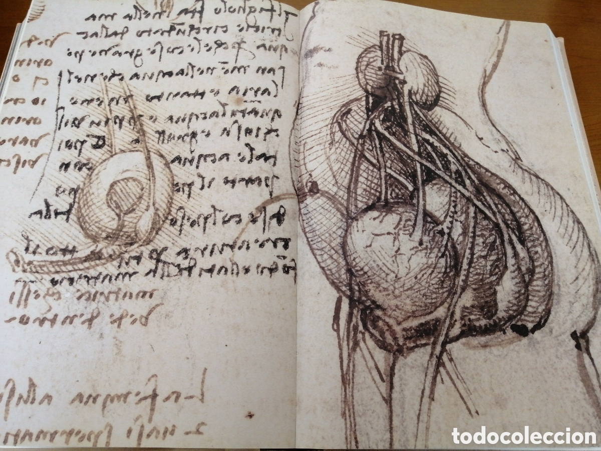 Libros: Leonardo Da Vinci - Foto 10
