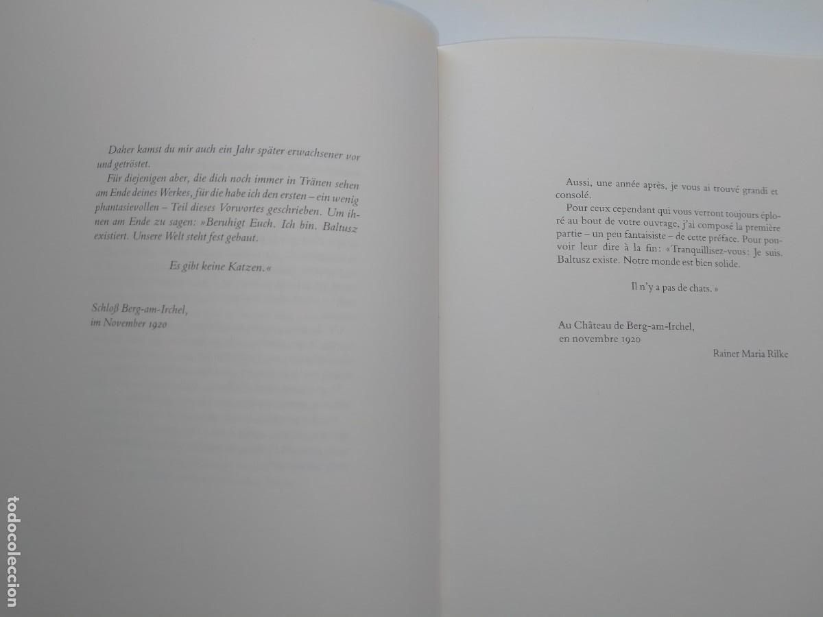 Libros: BALTHUS-RILKE. MITSOU .INSEL - Foto 4