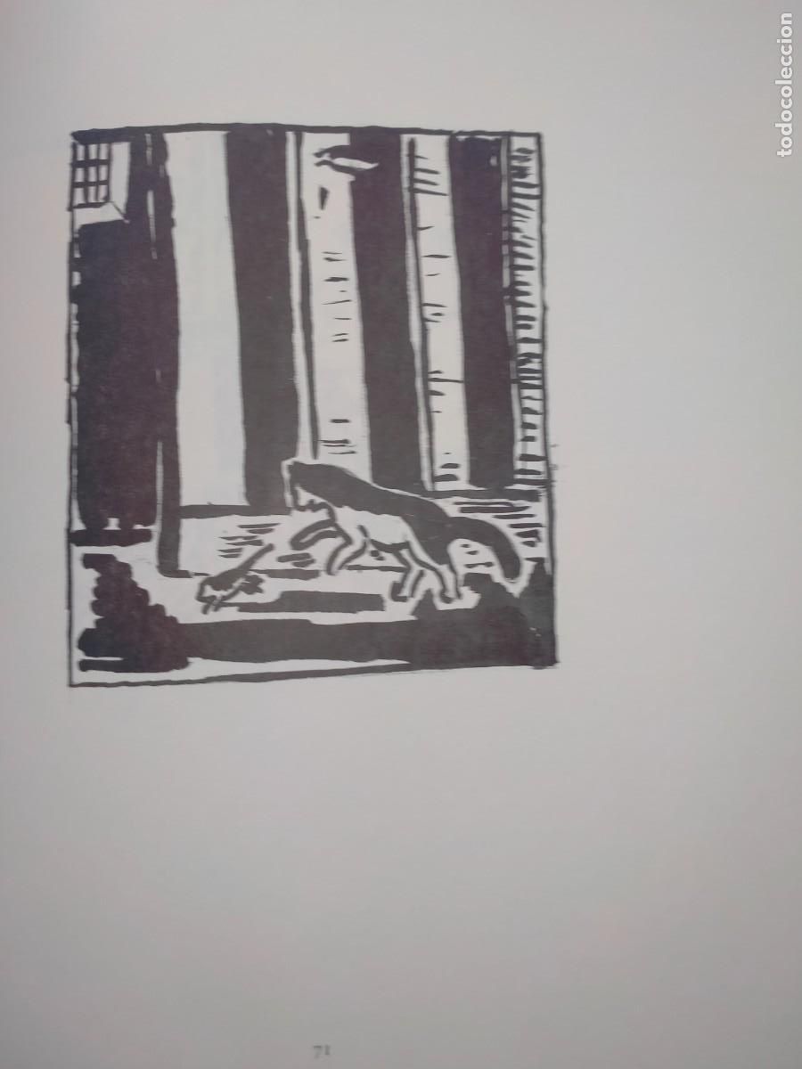 Libros: BALTHUS-RILKE. MITSOU .INSEL - Foto 10