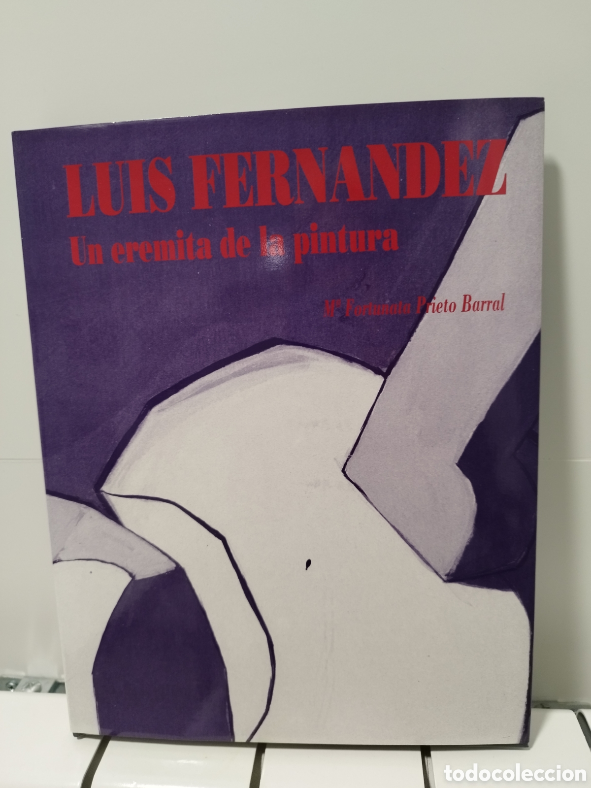Libros: Libro Luis Fern&aacute;ndez - Foto 1