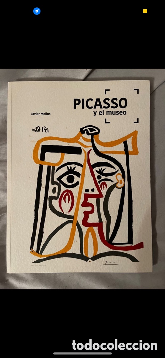 Libros: Picasso y el Museo (Javier Molins Pav&iacute;a) - Foto 1
