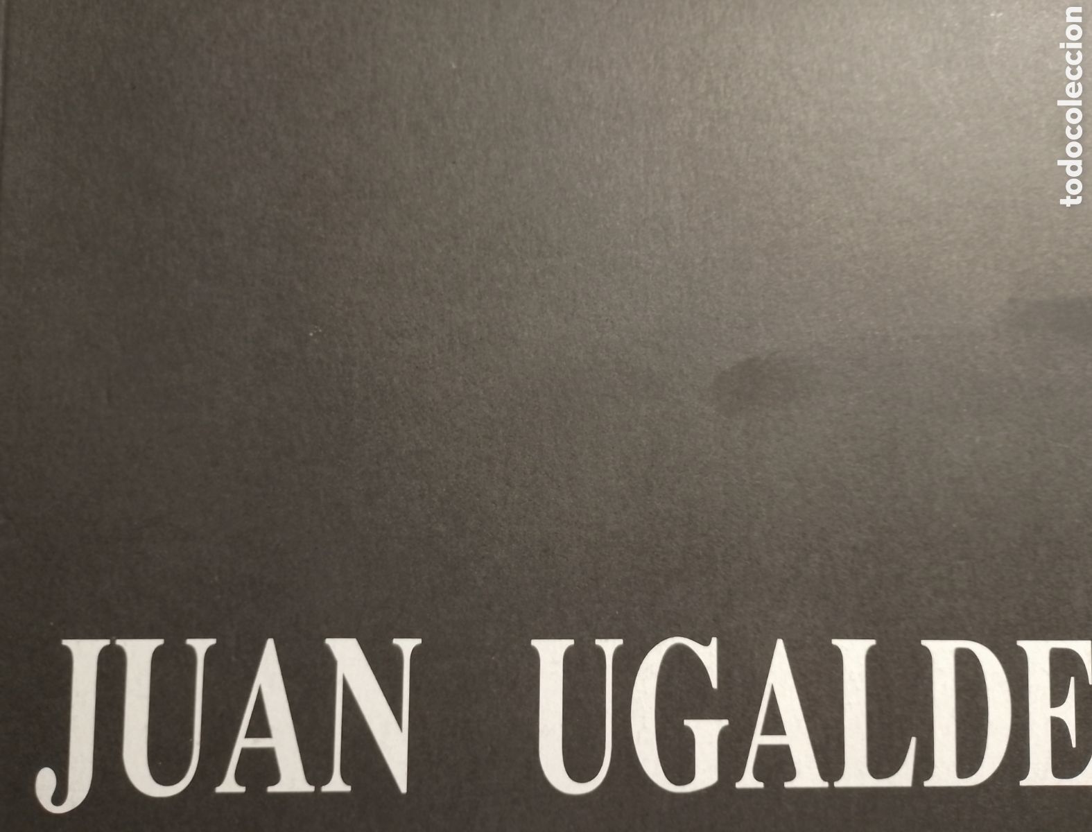 Libros: Cat&aacute;logo. JUAN UGALDE. 1989. - Foto 1