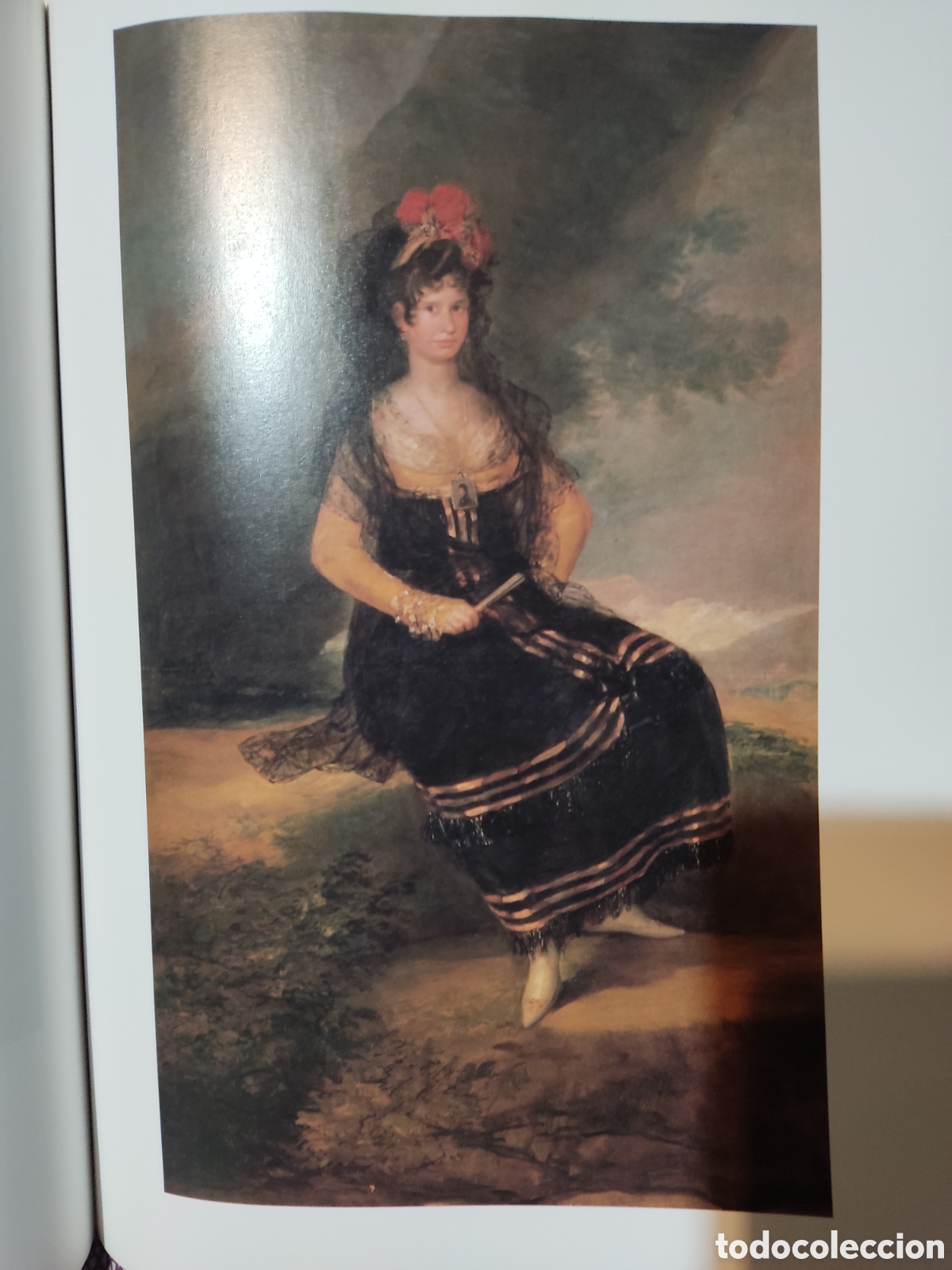 Libros: Goya. La d&eacute;cada de los caprichos - Foto 6