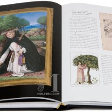 Libros: GREAT HOURS OF ANNE OF BRITTANY GRANDES HORAS DE ANA DE BRETAÑA LIBRO ESTUDIOS STUDY BOOK MOLEIRO