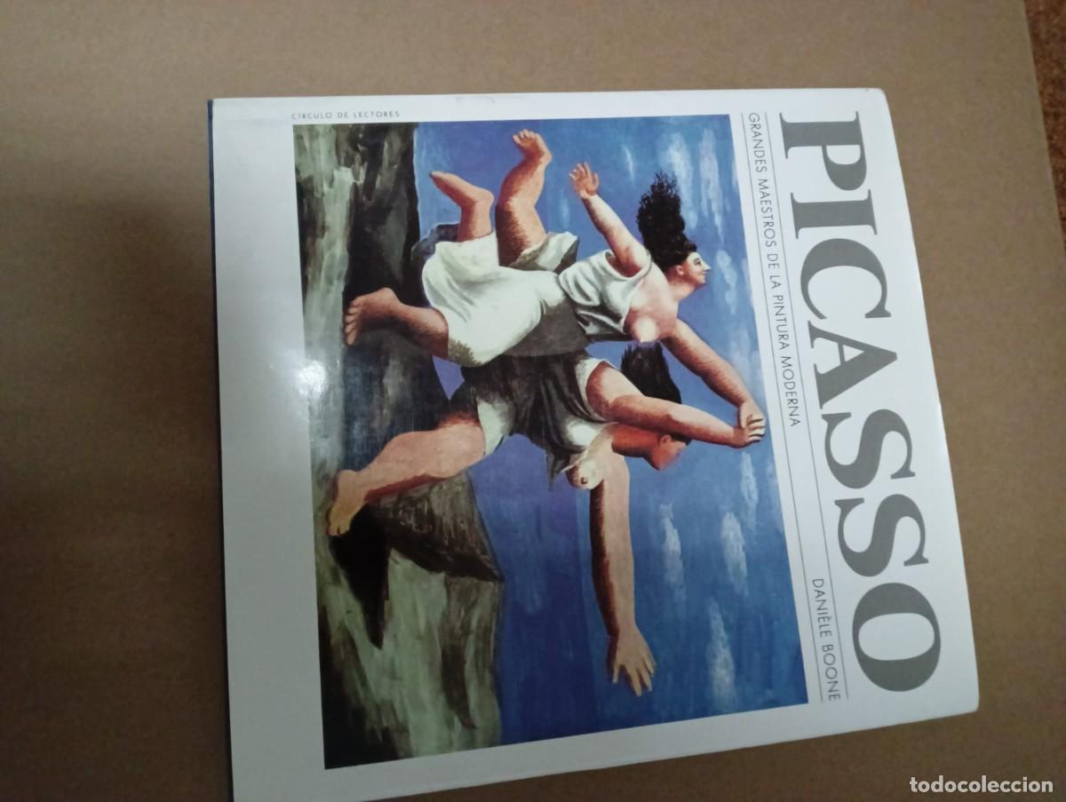 Libros: Libro del pintor Pablo Picasso - Foto 1